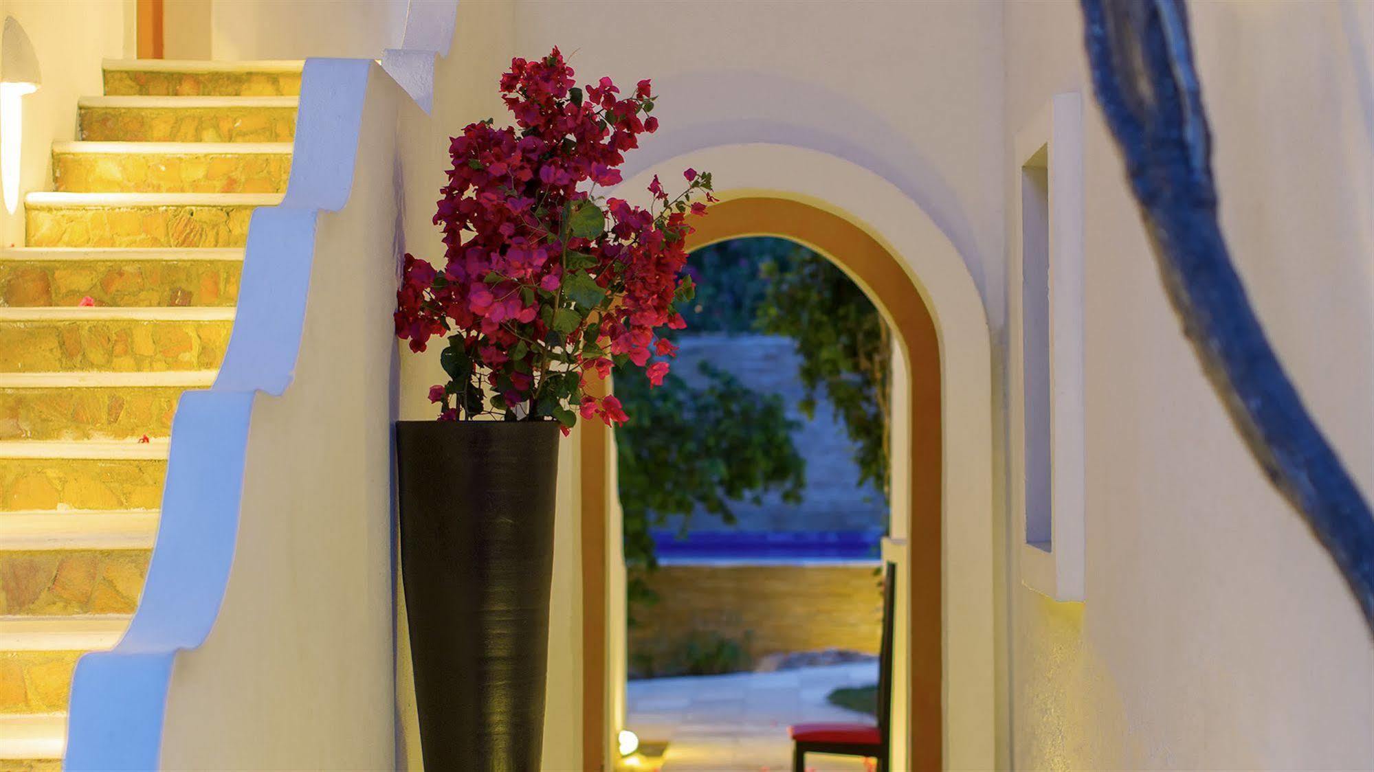 My Blue Hotel جيجوكا دي جيريكواكوارا المظهر الخارجي الصورة