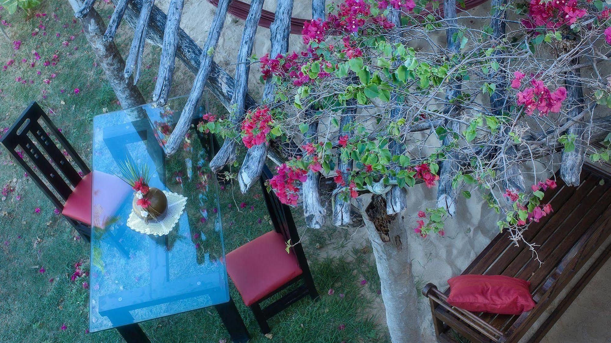 My Blue Hotel جيجوكا دي جيريكواكوارا المظهر الخارجي الصورة