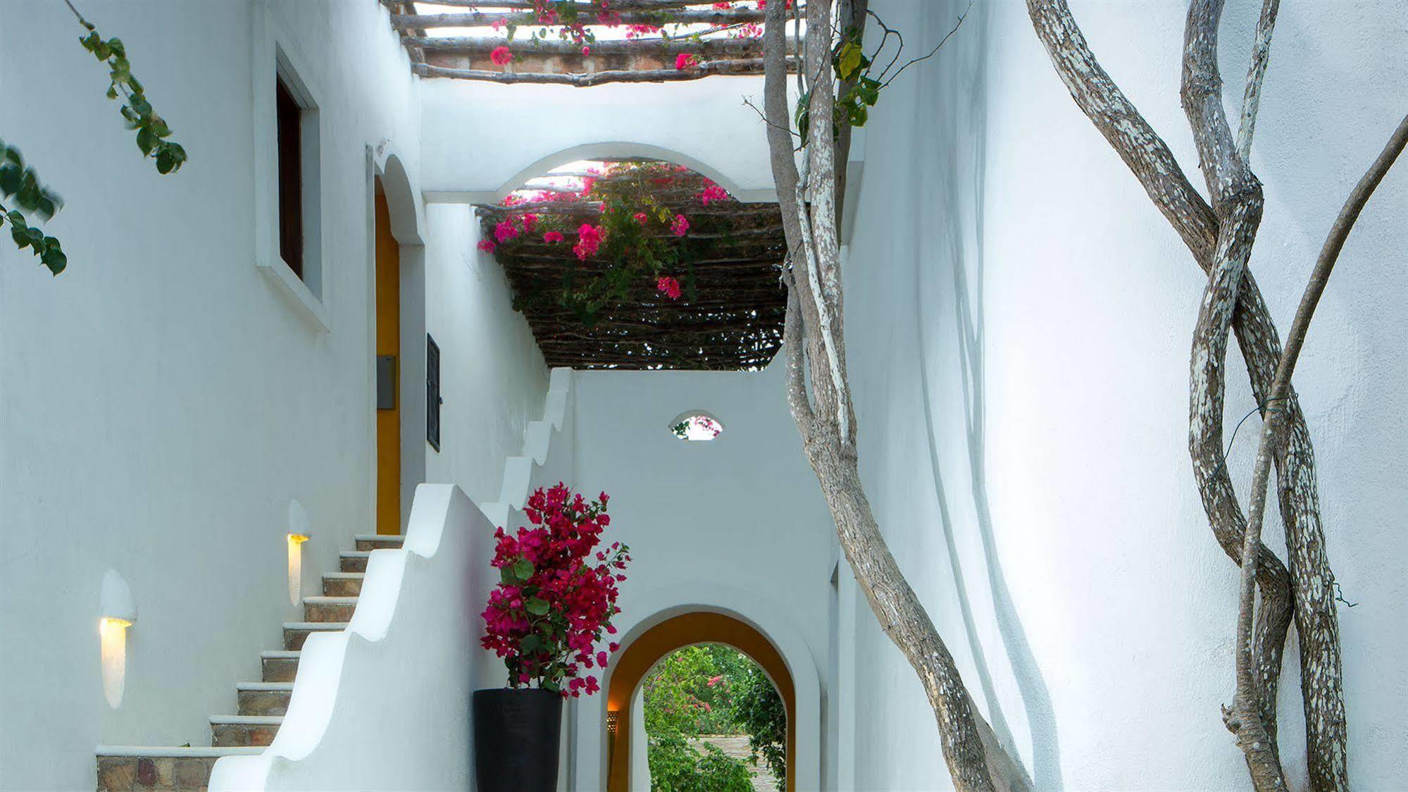 My Blue Hotel جيجوكا دي جيريكواكوارا المظهر الخارجي الصورة